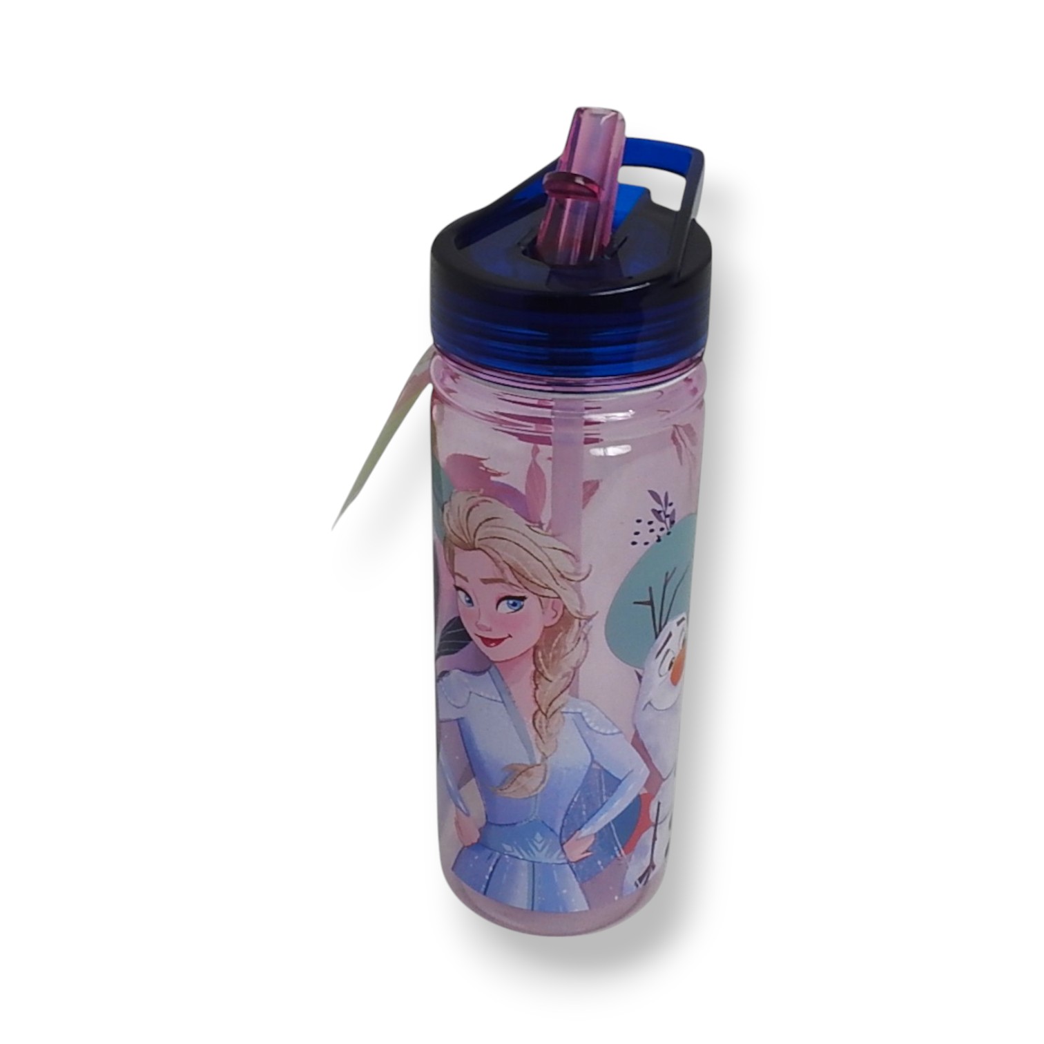 BOTELLA FROZEN 580ml LARGE ECOZEN