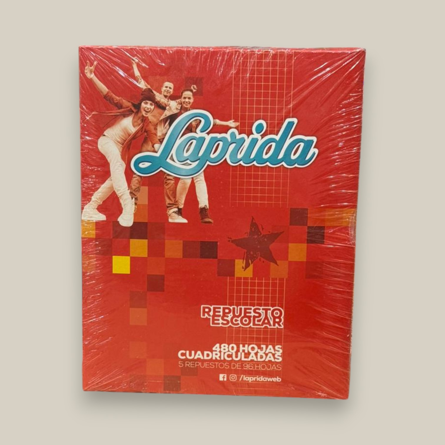 Repuesto laprida cuadriculadas x 480 h