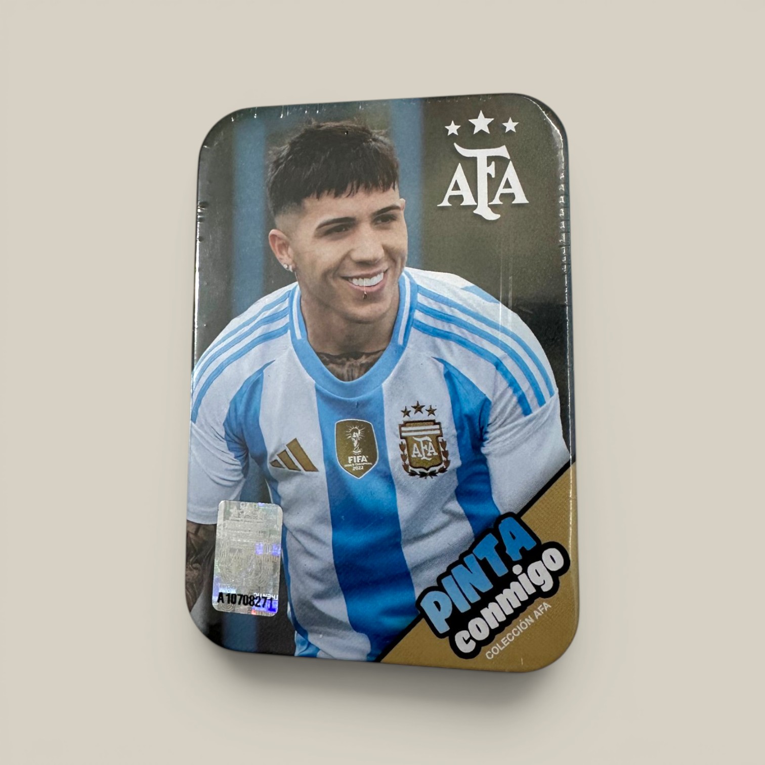 Libro pinta conmigo afa (enzo fernandez) c/accesorios