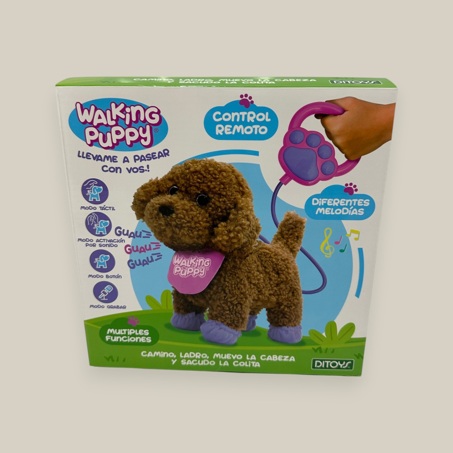 Walking puppy