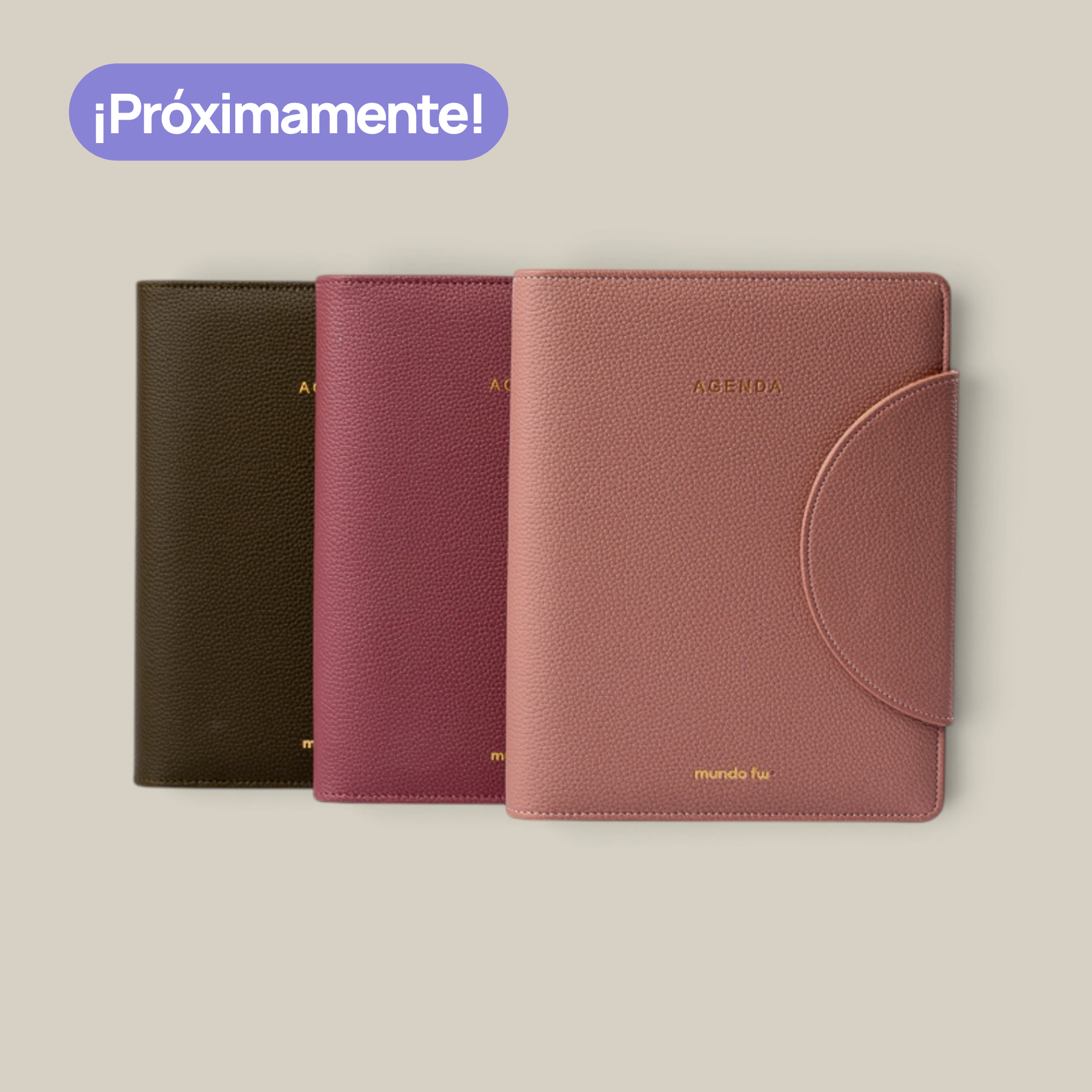 Agenda FW diaria 15*21 c/broche timeless clasica 2027