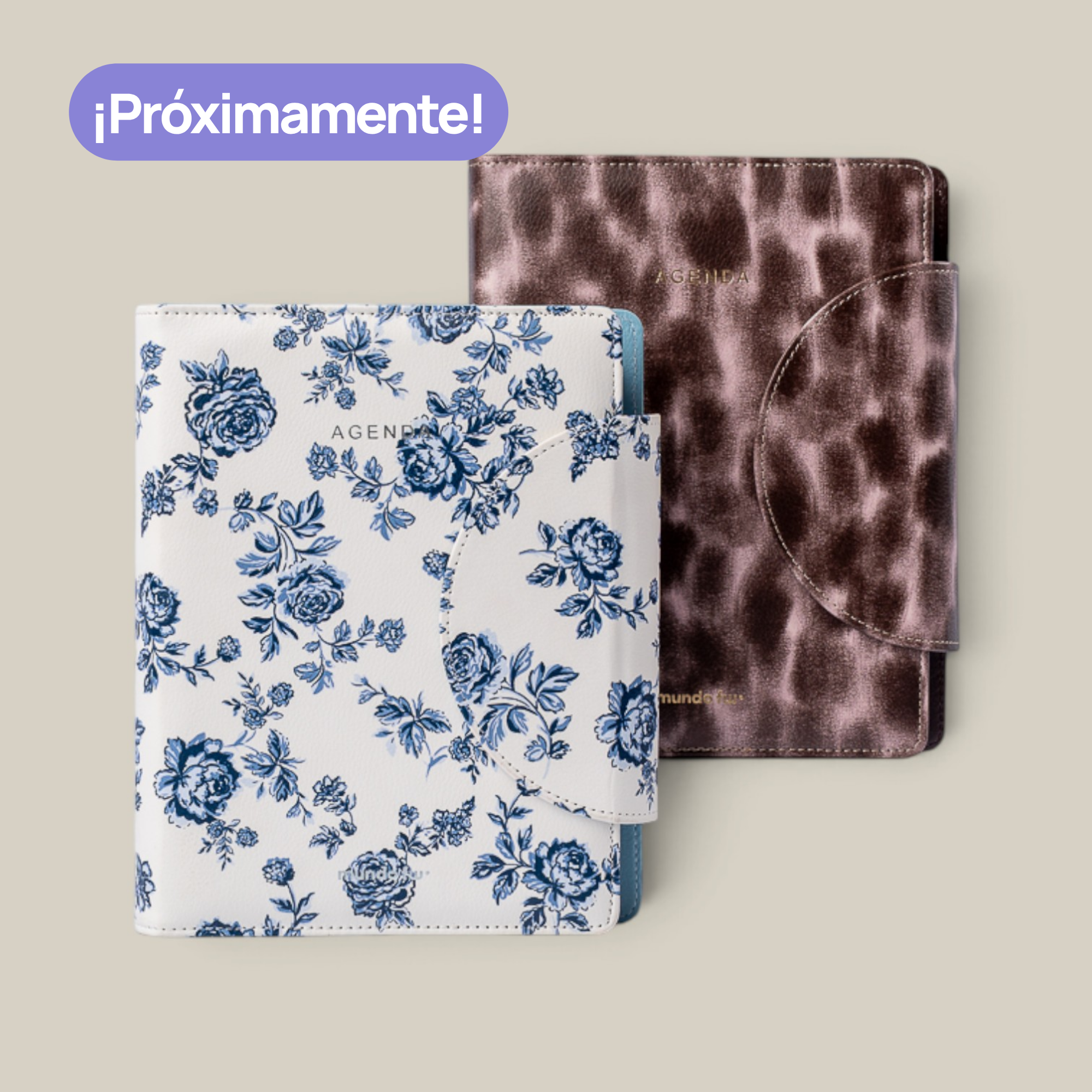 Agenda FW diaria 15*21 c/broche timeless Fun 2027