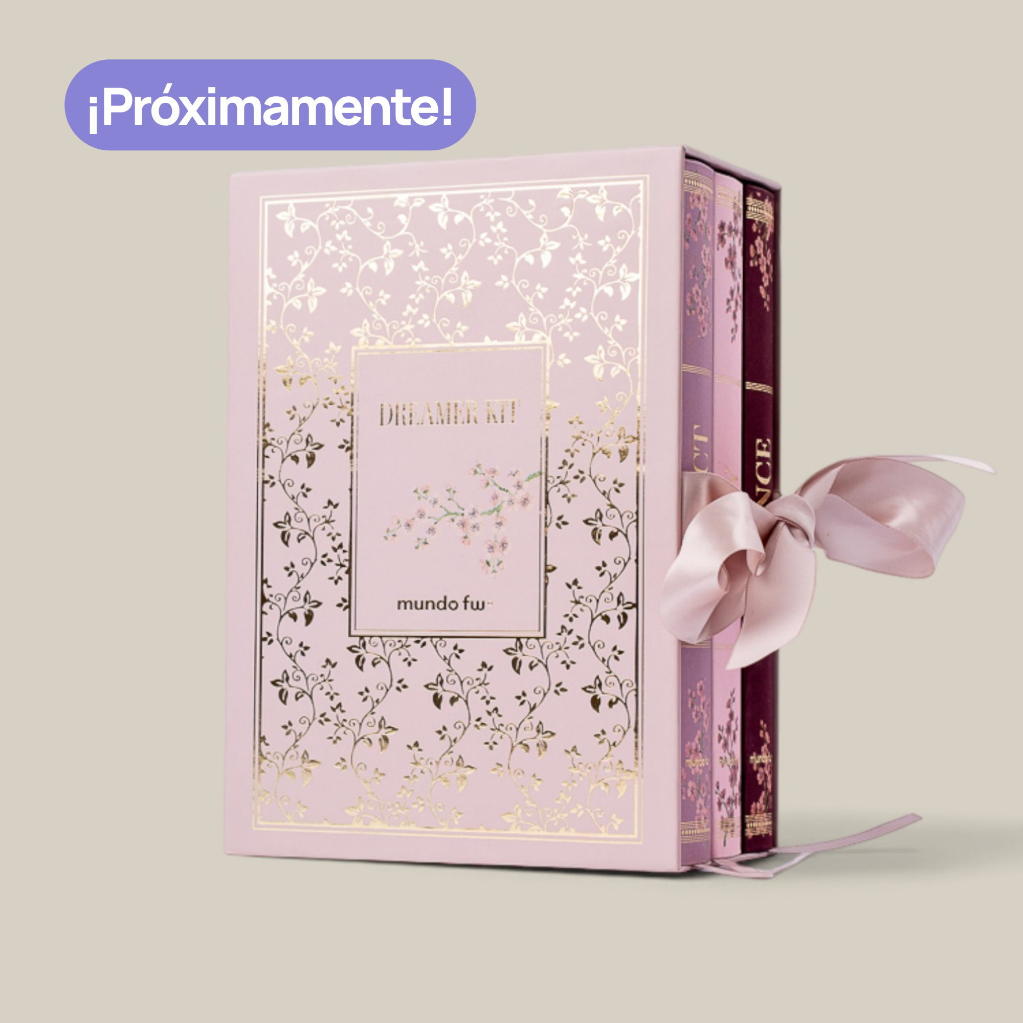 Agenda FW diaria Dreamer kit 2027